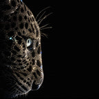 Untamed Leopard & Swarovski® – Limited Edition