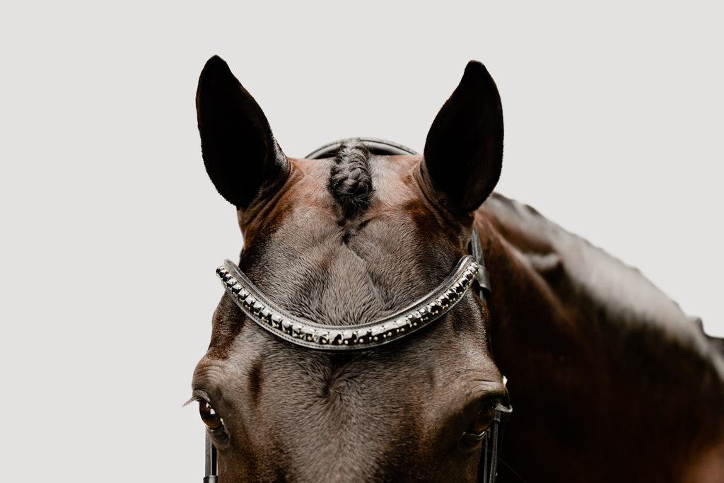 A close-up of a horse wearing the broadband of the Lumiere Arcadia snaffle bridle.