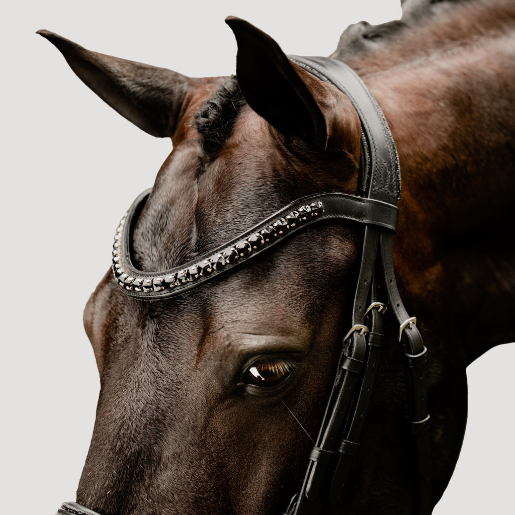A close-up side view of a horse wearing the broadband of the Lumiere Arcadia snaffle bridle.
