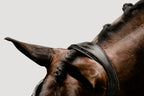 A close-up of the headpiece of the Lumiere Arcadia leather snaffle bridle