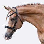 Image of a horse wearing the Lumiere Arcadia snaffle bridle, cavesson variant, side view