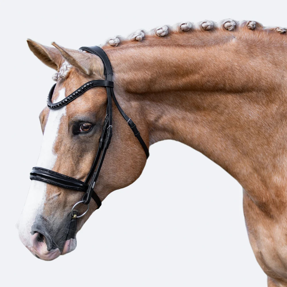 Image of a horse wearing the Lumiere Arcadia snaffle bridle, cavesson variant, side view