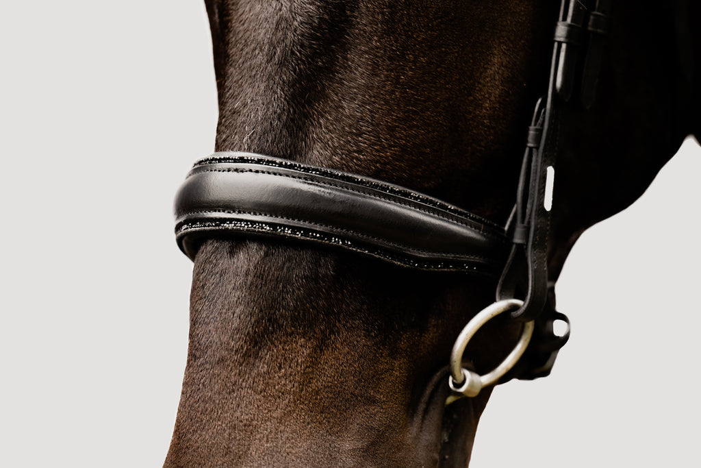 A close-up of the noseband of the Lumiere Arcadia leather snaffle bridle