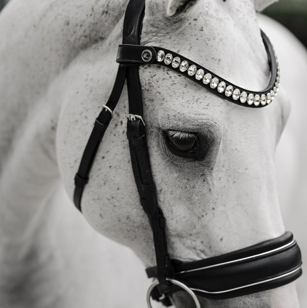 Close-up of the crystal browband and noseband of the Lumiere Diva bridle, premium leather snaffle 