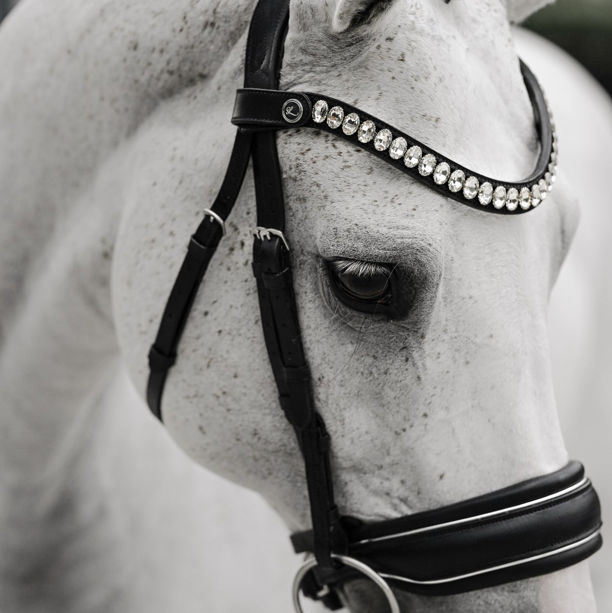 Close-up of the crystal browband and noseband of the Lumiere Diva bridle, premium leather snaffle 