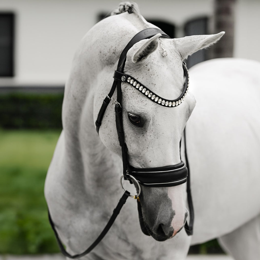 Horse wearing Lumiere Diva bridle, premium leather snaffle 