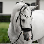 Horse wearing Lumiere Diva bridle, premium leather snaffle 