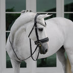 Side view of a Horse wearing Lumiere Diva bridle, premium leather snaffle 