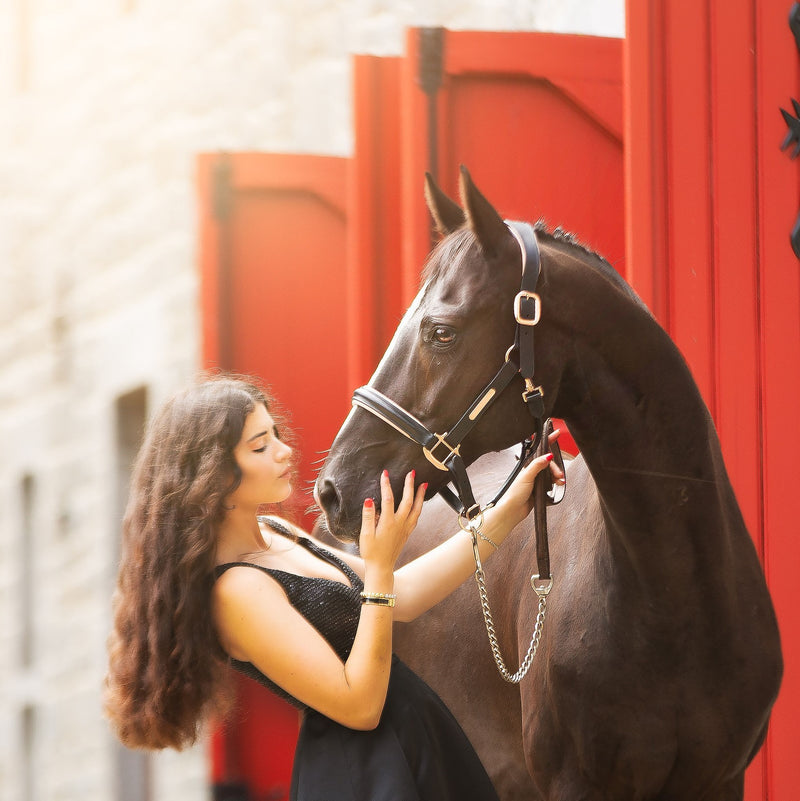 Young woman petting a horse wearing the Lumiere Hollywood halter crafted from luxurious gel-padded rose gold nappa leather with premium rose gold fittings in front of red stable doors